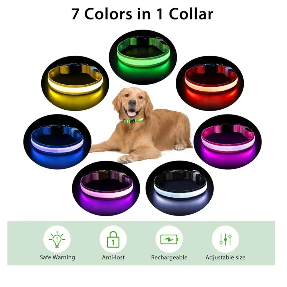 PcEoTllar Light up Dog Collar LED Rechargeable Waterproof Medium nwt - Picture 4 of 7